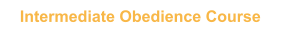Intermediate Obedience Course