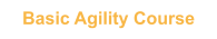 Basic Agility Course