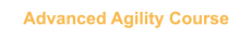Advanced Agility Course