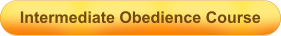 Intermediate Obedience Course