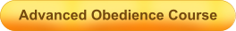 Advanced Obedience Course