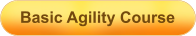 Basic Agility Course