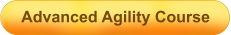 Advanced Agility Course
