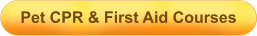 Pet CPR & First Aid Courses