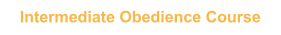 Intermediate Obedience Course