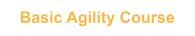 Basic Agility Course