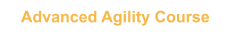Advanced Agility Course