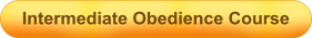 Intermediate Obedience Course