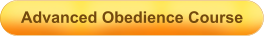 Advanced Obedience Course