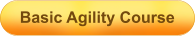 Basic Agility Course