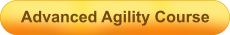 Advanced Agility Course