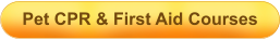 Pet CPR & First Aid Courses